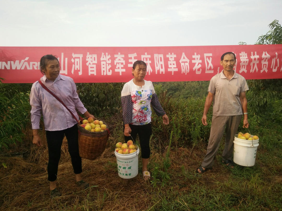 点赞！ 智能成功入选“上市公司乡村振兴优秀实践 ·案例”
